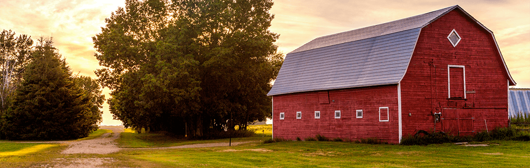 Red Barn