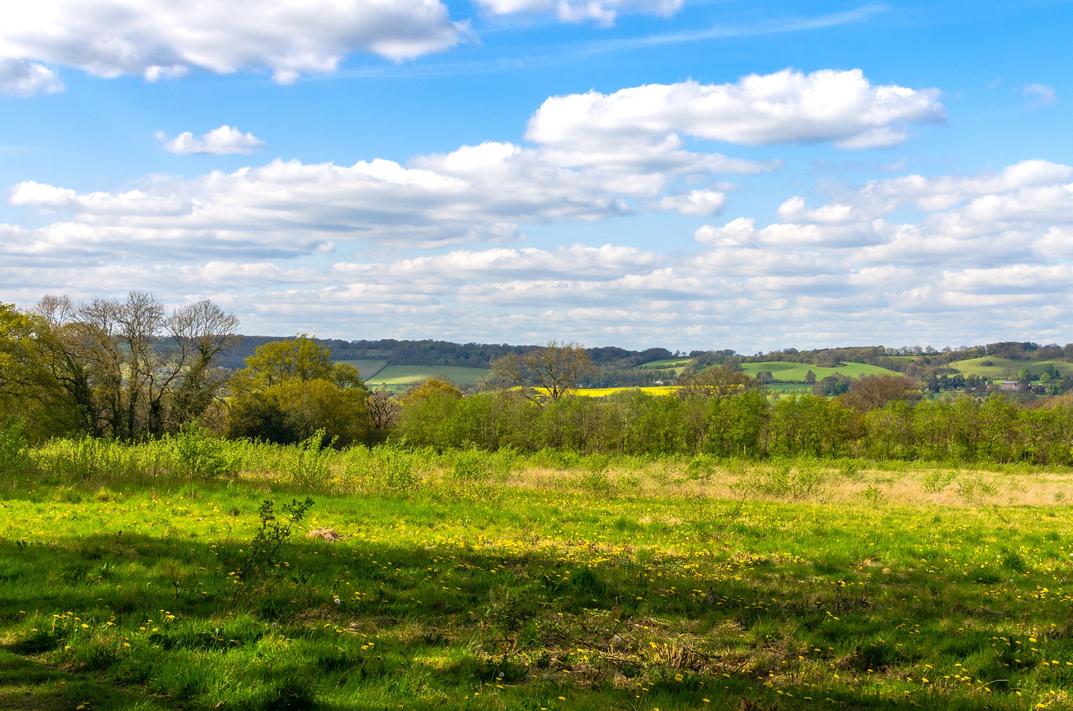 Beautiful green hills landscape