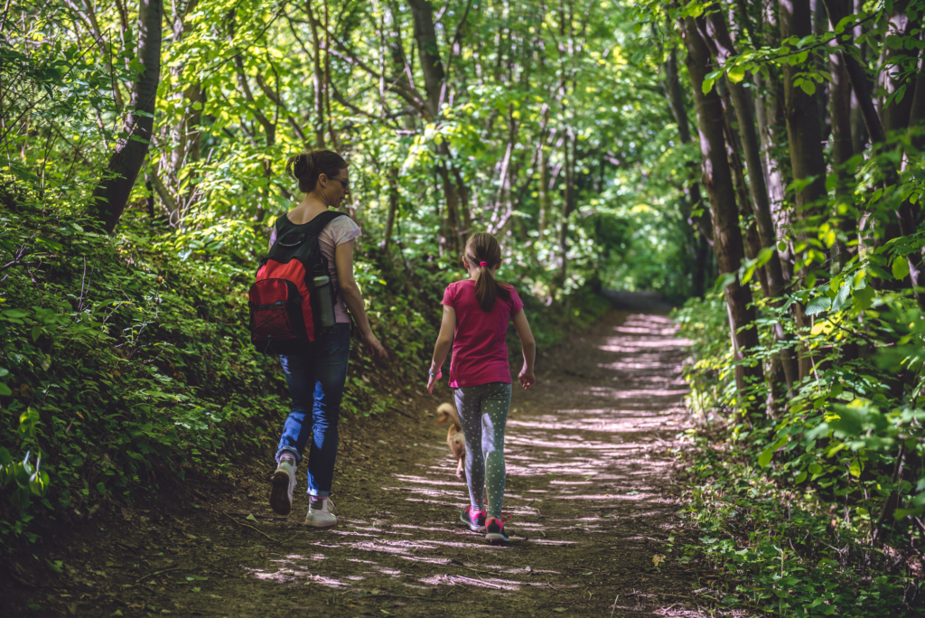 Дети рядом идут по Лесной тропе. Мама и дочь идут в поход. Children walk in the Wood.