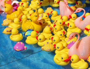 rubber duckies