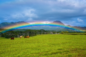 Somewhere over the rainbow, Kauai