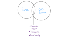 diagram of CNS + Inflammation