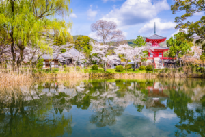kyoto in the spring