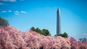Washington Monument