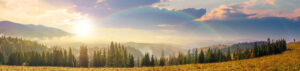 mountain panorama with forest on meadow at sunset. beautiful autumn weather. clouds and fog rising above the hills with row of spruce trees in evening light beneath a rainbow.