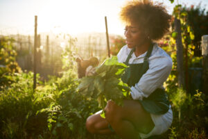 woman pulling golden beets from dirt in communal urban garden