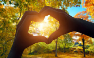 Silhouette of the heart hand gesture