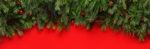 Christmas branches background