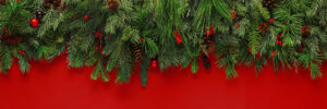 Christmas branches background