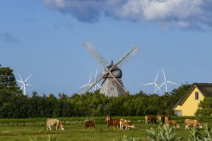 Fjerritslev, Denmark Wind turbines and a classic windmill in a field with cows.