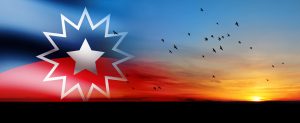 Juneteenth Flag with sunrise or sunset with flying birds. Since 1865. Design of Banner with place for text.