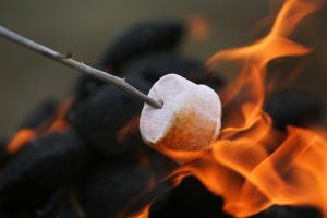 Marshmallow on a stick in orange flames
