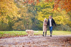 Loving Senior Couple Walking With Pet Golden Retriever Dog Along Autumn Woodland Path Through Trees
