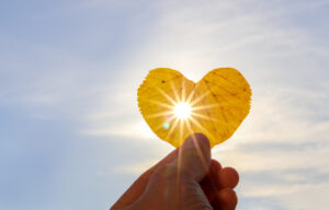 lose up shot of hand holding yellow leaf of heart shape with sun rays shining through it at light blue sky background. I love autumn concept. Copy space