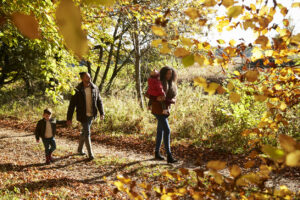 Family On Autumn Walk In Woodland Together