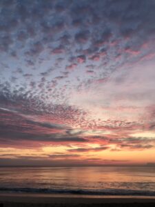 Our wonderful world.