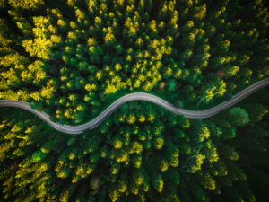 Curvy Road in Summer Pine Forest. top Down Drone Photography. Outdoor Wilderness.