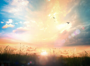 Calm of country meadow sunrise landscape background