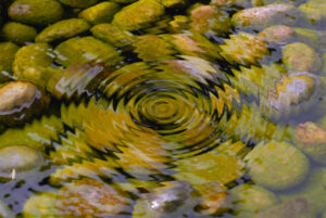 ripple in pond