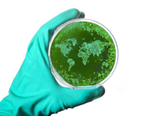 A scientist holding a petri dish with germs in the shape of the world.(series)