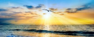 A Single Bird Silhouette Is Flying Into The Ocean Sunset Sky With Sun Rays Emanating From the Colorful Horizon