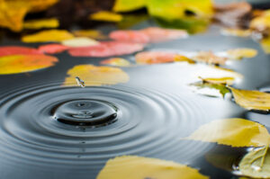Rain splashing into a pond in the fall