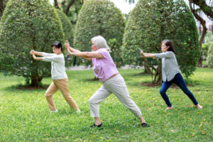 Group of senior ladies doing exercise in the park