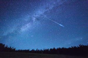 Milky Way Above Trees in Yellowstone park.. Night Sky,meteor shower.