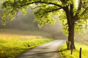 Country road in the Smoky Mountains.