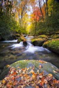 Little River off of Tremont Rd. in Great Smoky Mountain National Park with fall colors on display