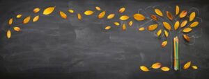 Back to school concept. Top view banner of pencils next to tree sketch with autumn dry leaves over classroom blackboard background