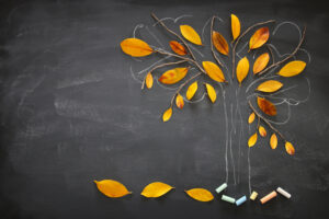 Back to school concept. Top view xabanner of tree sketch with autumn dry leaves over classroom blackboard background