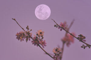 full moon
