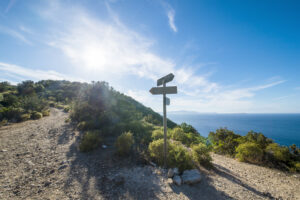 Rural scenic landscape with crossroad on hill in forest at sunset. Two different directions. Concept of choose the correct way. Right and left path. Junction, fork, split road..