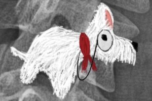 Drawing of a Scottie dog, by the author.