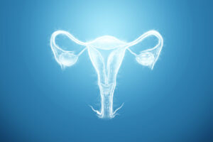 Hologram of the female organ of the uterus on a blue background. Ultrasound concept, gynecology, obstetrics, ovulation, pregnancy. 3D illustration, 3D render