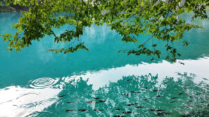 Beautiful landscape in the Plitvice Lakes National Park in Croatia