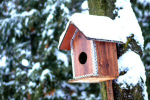 Bird feeder in winter park. Bird house hanging outdoors in winter on tree covered with snow.