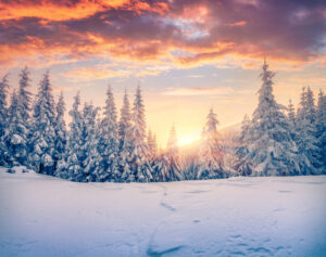 Splendid Christmas scene in the mountain forest. Colorful winter sunrise in the Carpathians, Ukraine, Europe. Artistic style post processed photo.