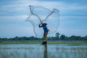 Local fishermen use a fishnet to capture fish in the lake