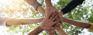 Banner diversity solidarity team multiethnic Partners hands together teamwork. Group of multiracial meetings joins hands together. Panorama Diversity people hands join empower trust team solidarity