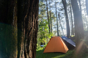 Camping in a forest clearing with sunlight streaming through the trees.