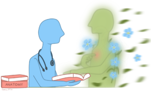 Program front cover illustration