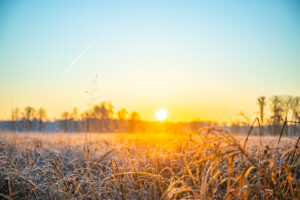 Winter landscape in frost at sunrise. Meadow and standing water in winter with ice crystals and warm colors in the sunlight. Nature reserve and open spaces at Frankfurt Airport, Hesse.