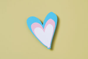 The colors of the transgender flag.