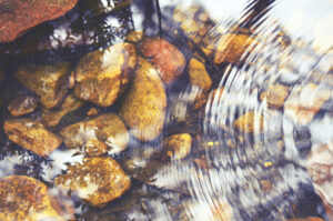 Concentric ripples and sky and tree reflections in a shallow pebble filled stream bed