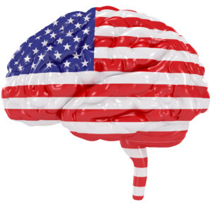 3D Human brain is colored flag of United States